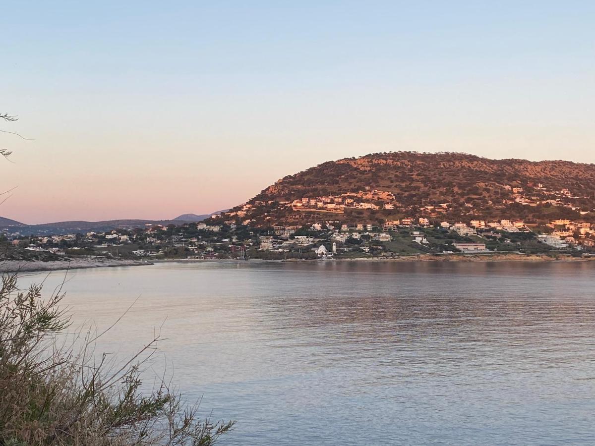 Seascape Luxury Villas Agia Marina  Екстер'єр фото